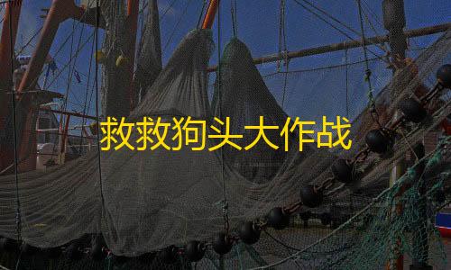 水花直装卡密救救狗头大作战